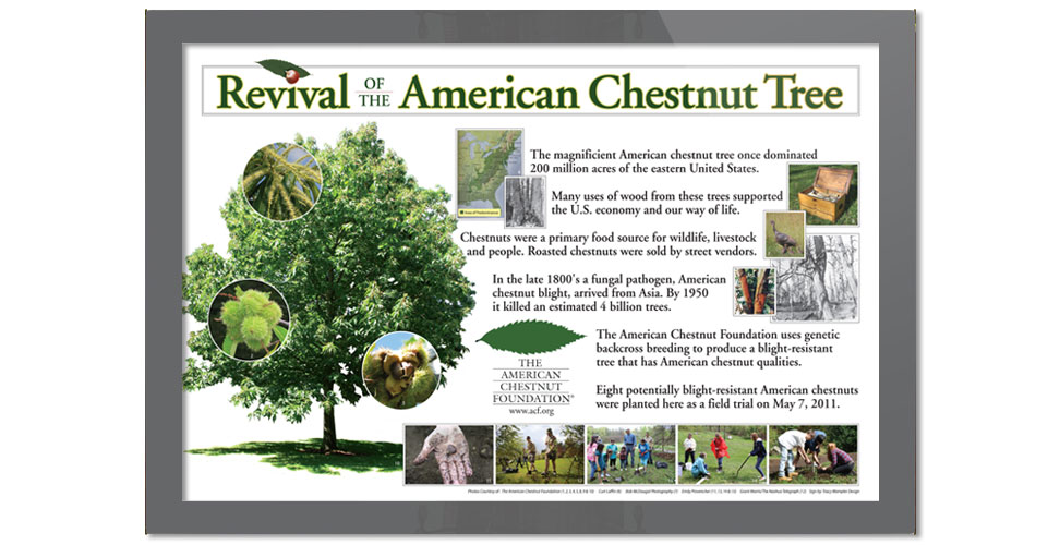 Informational outdoor sign for the American Chestnut Foundation